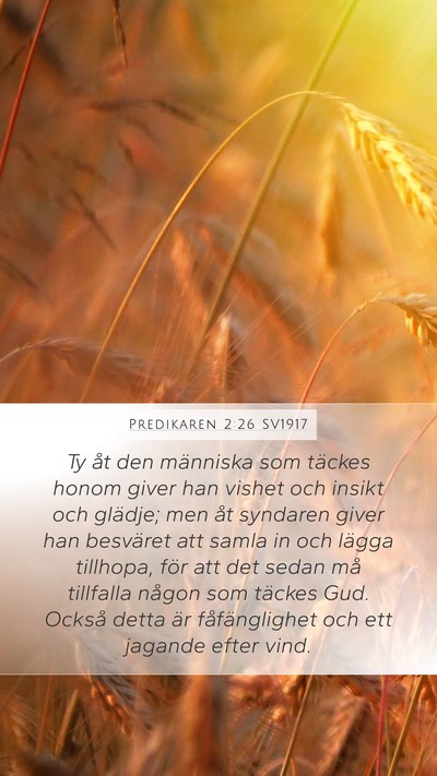 Predikaren 2:26 SV1917 Bible Verse Image