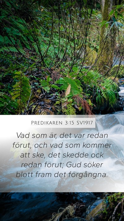 Predikaren 3:15 SV1917 Bible Verse Image