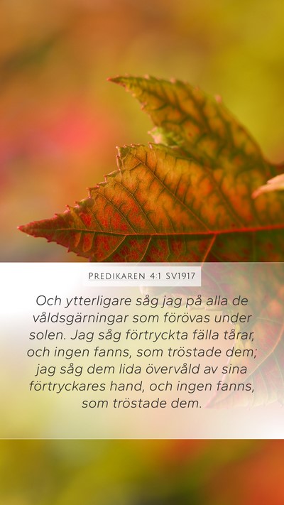 Predikaren 4:1 SV1917 Bible Verse Image