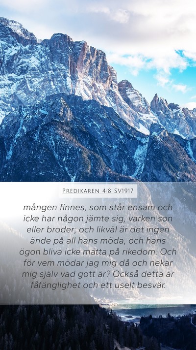 Predikaren 4:8 SV1917 Bible Verse Image