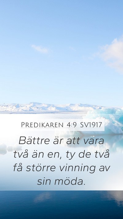 Predikaren 4:9 SV1917 Bible Verse Image