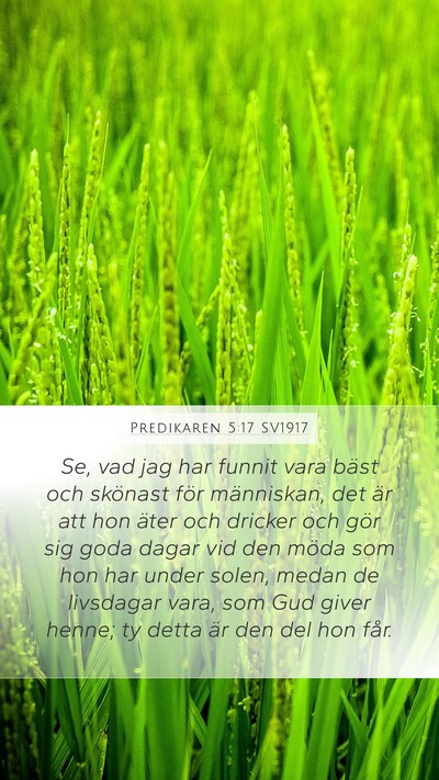 Predikaren 5:17 SV1917 Mobile Phone Wallpaper - Se, vad jag har funnit vara bäst och skönast - Mobile Bible Verse Wallpaper
