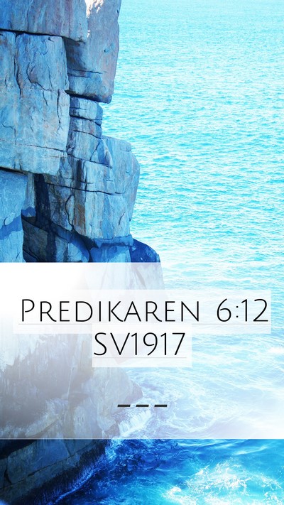 Predikaren 6:12 SV1917 Bible Verse Image