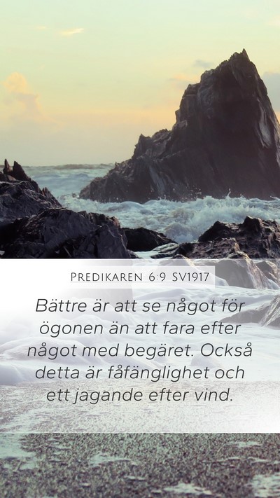 Predikaren 6:9 SV1917 Bible Verse Image