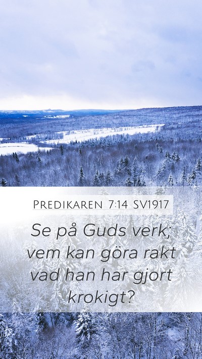 Predikaren 7:14 SV1917 Bible Verse Image