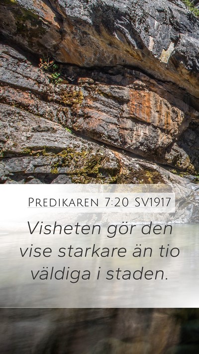 Predikaren 7:20 SV1917 Bible Verse Image