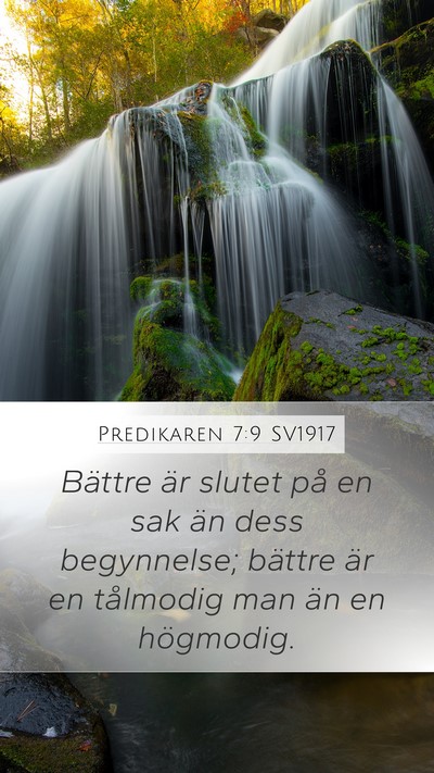 Predikaren 7:9 SV1917 Bible Verse Image