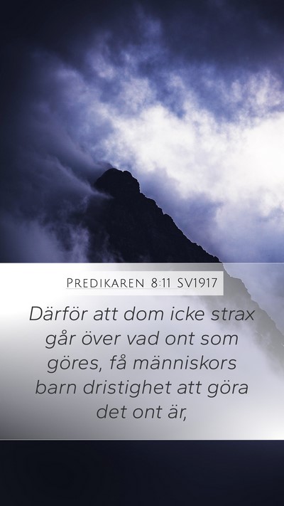 Predikaren 8:11 SV1917 Bible Verse Image
