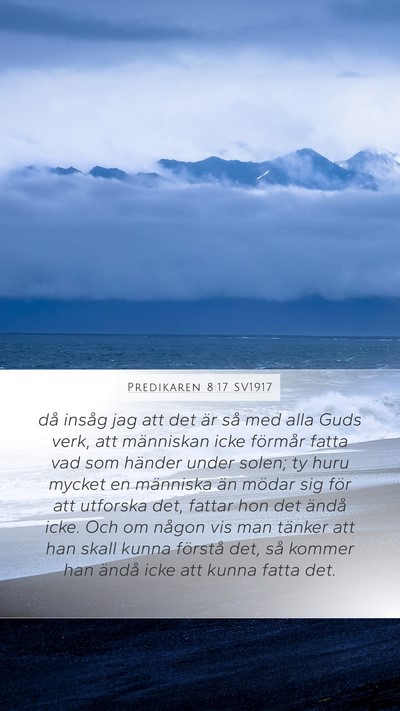 Predikaren 8:17 SV1917 Bible Verse Image