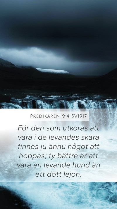 Predikaren 9:4 SV1917 Bible Verse Image