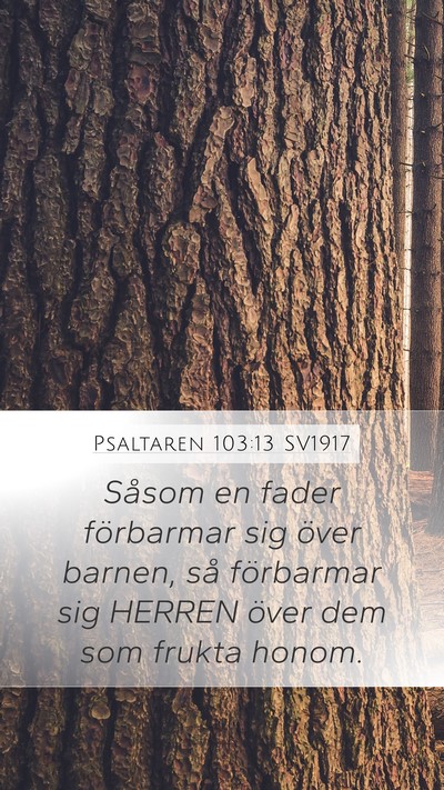 Psaltaren 103:13 SV1917 Bible Verse Image