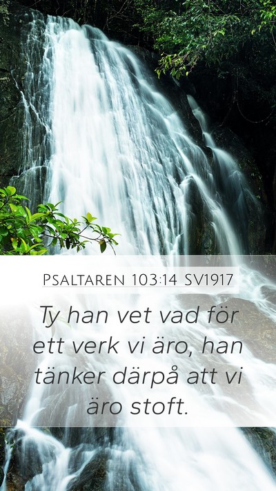 Psaltaren 103:14 SV1917 Bible Verse Image