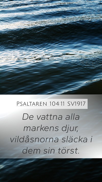 Psaltaren 104:11 SV1917 Mobile Phone Wallpaper - De vattna alla markens djur, vildåsnorna släcka - Mobile Bible Verse Wallpaper