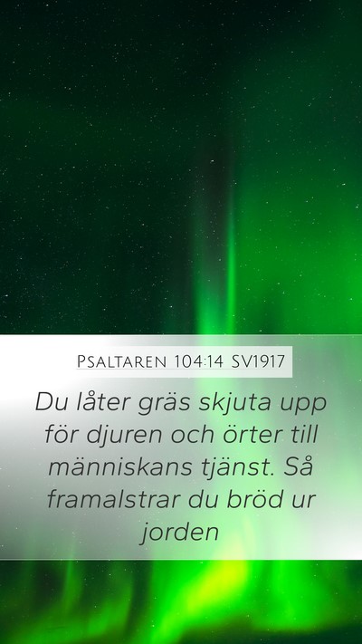 Psaltaren 104:14 SV1917 Bible Verse Image
