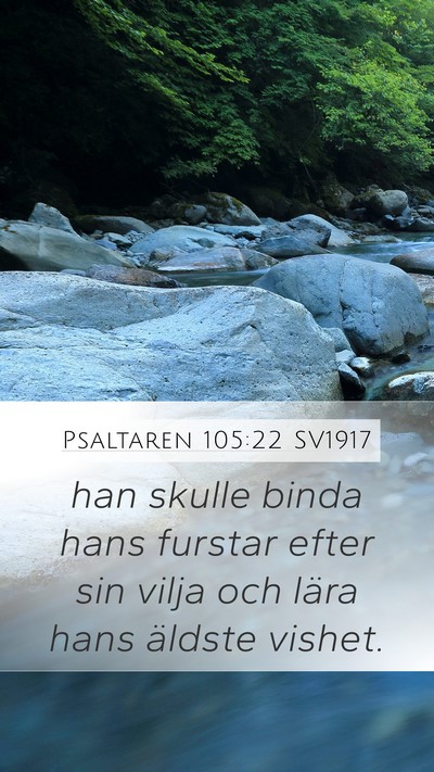 Psaltaren 105:22 SV1917 Bible Verse Image