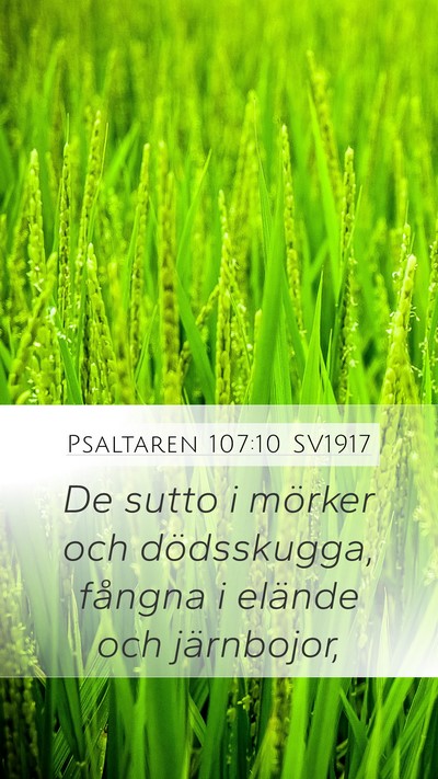 Psaltaren 107:10 SV1917 Bible Verse Image