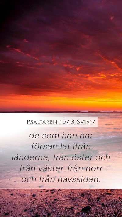 Psaltaren 107:3 SV1917 Mobile Phone Wallpaper - de som han har församlat ifrån länderna, från - Mobile Bible Verse Wallpaper