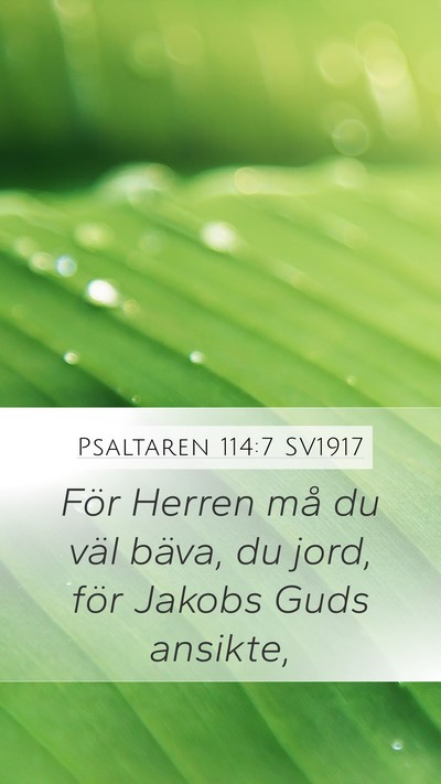 Psaltaren 114:7 SV1917 Bible Verse Image