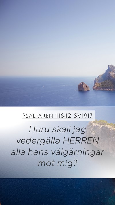 Psaltaren 116:12 SV1917 Bible Verse Image