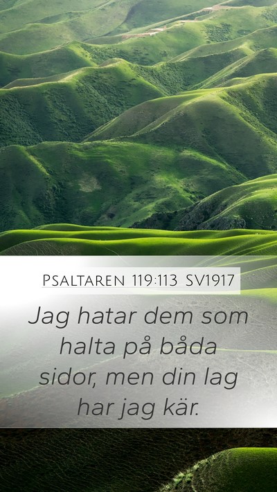 Psaltaren 119:113 SV1917 Bible Verse Image