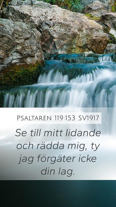 Psaltaren 119:153 SV1917 Bible Verse Image