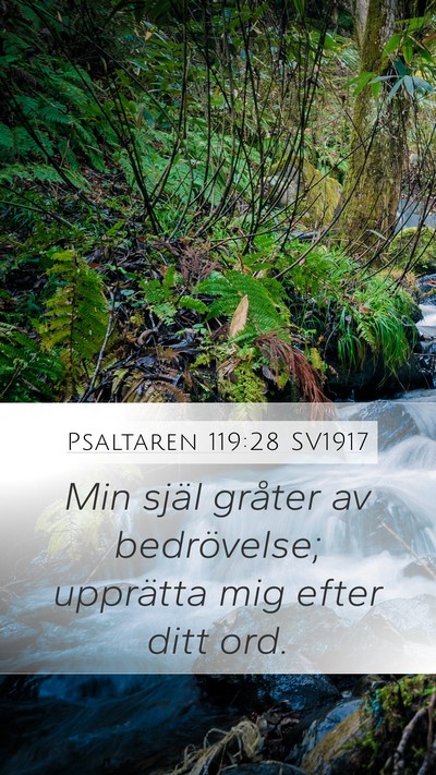 Psaltaren 119:28 SV1917 Mobile Phone Wallpaper - Min själ gråter av bedrövelse; upprätta mig - Mobile Bible Verse Wallpaper