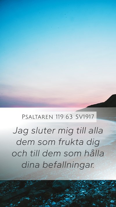 Psaltaren 119:63 SV1917 Bible Verse Image