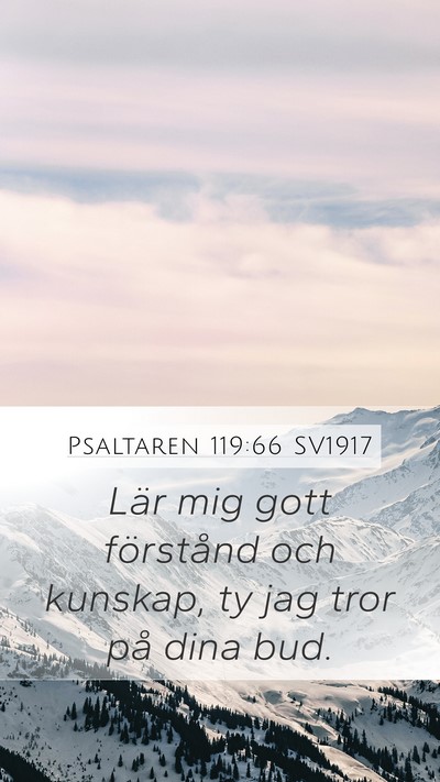 Psaltaren 119:66 SV1917 Mobile Phone Wallpaper - Lär mig gott förstånd och kunskap, ty jag tror - Mobile Bible Verse Wallpaper