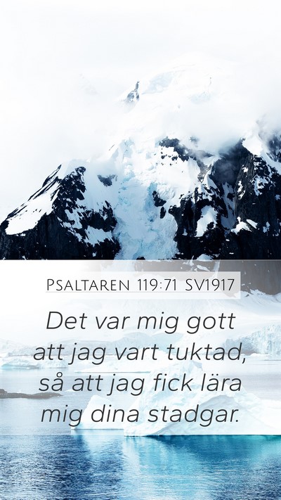 Psaltaren 119:71 SV1917 Bible Verse Image