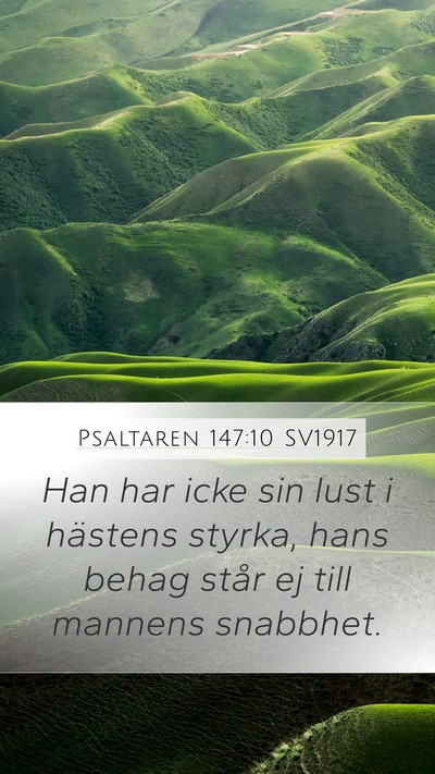 Psaltaren 147:10 SV1917 Bible Verse Image