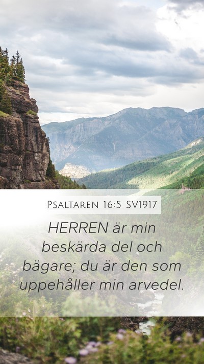 Psaltaren 16:5 SV1917 Bible Verse Image