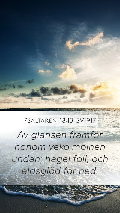 Psaltaren 18:13 SV1917 Bible Verse Image