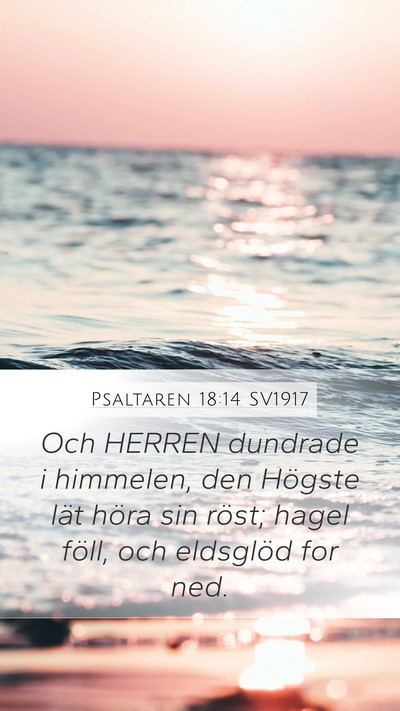 Psaltaren 18:14 SV1917 Bible Verse Image
