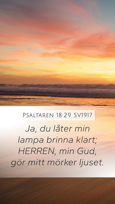 Psaltaren 18:29 SV1917 Bible Verse Image