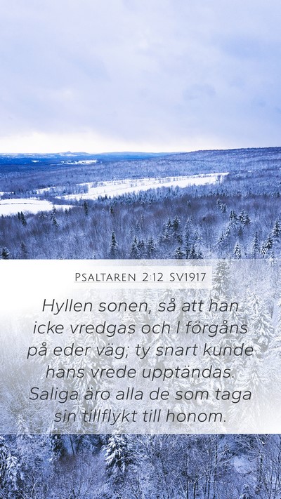Psaltaren 2:12 SV1917 Bible Verse Image