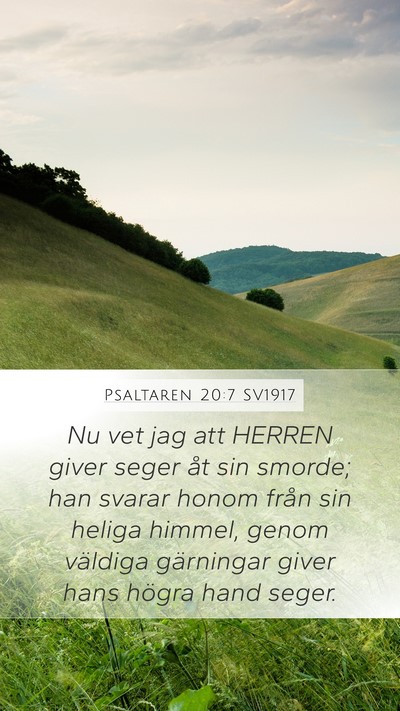 Psaltaren 20:7 SV1917 Bible Verse Image