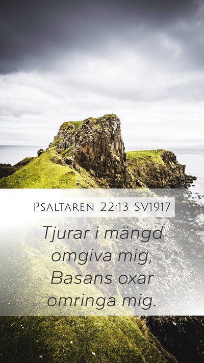 Psaltaren 22:13 SV1917 Bible Verse Image