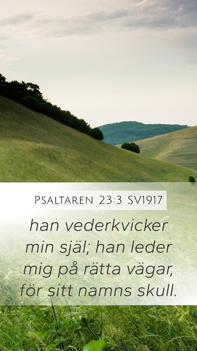 Psaltaren 23:3 SV1917 Bible Verse Image