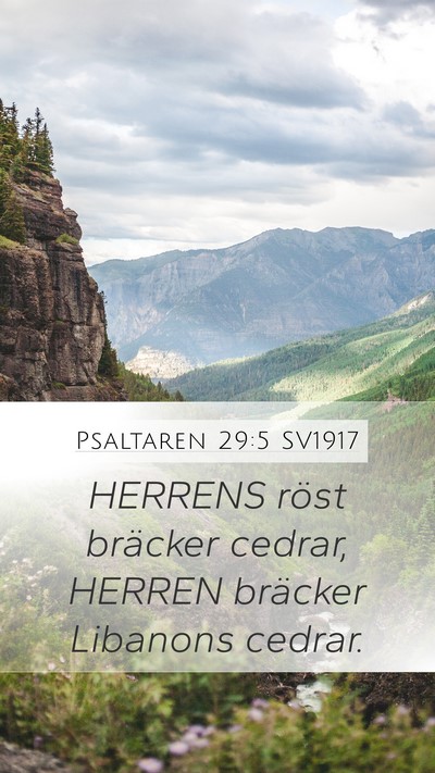 Psaltaren 29:5 SV1917 Bible Verse Image