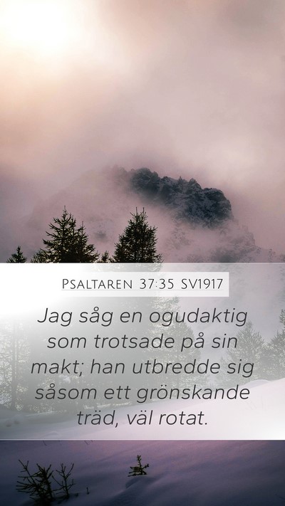 Psaltaren 37:35 SV1917 Bible Verse Image