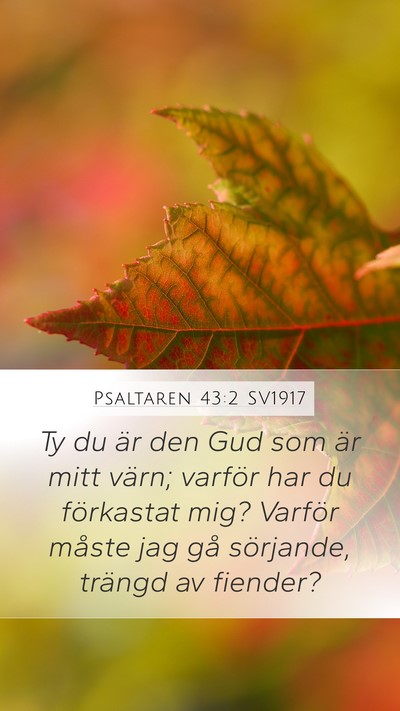 Psaltaren 43:2 SV1917 Bible Verse Image
