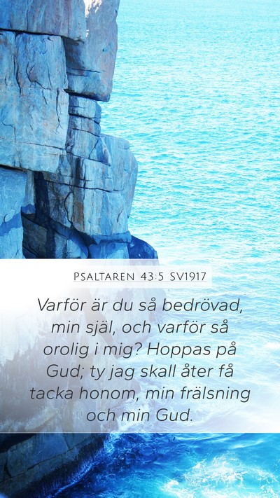 Psaltaren 43:5 SV1917 Bible Verse Image