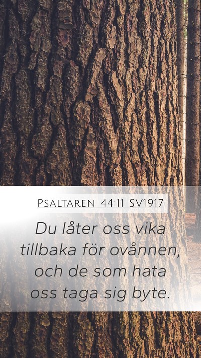 Psaltaren 44:11 SV1917 Bible Verse Image