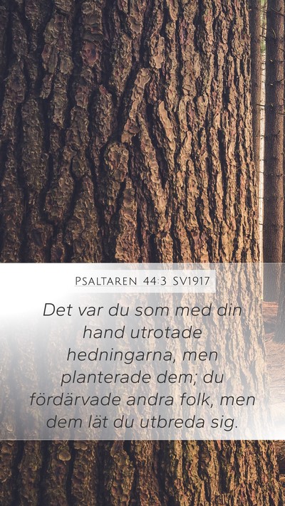 Psaltaren 44:3 SV1917 Bible Verse Image