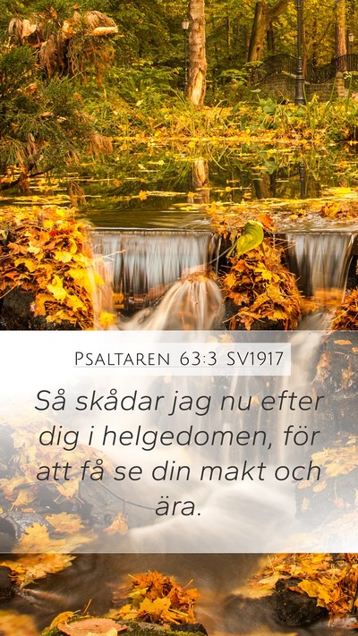 Psaltaren 63:3 SV1917 Bible Verse Image