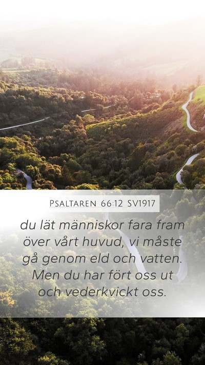Psaltaren 66:12 SV1917 Bible Verse Image