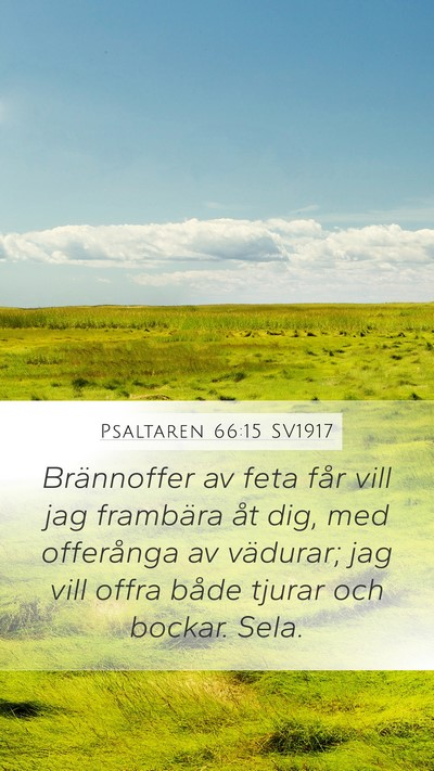 Psaltaren 66:15 SV1917 Bible Verse Image