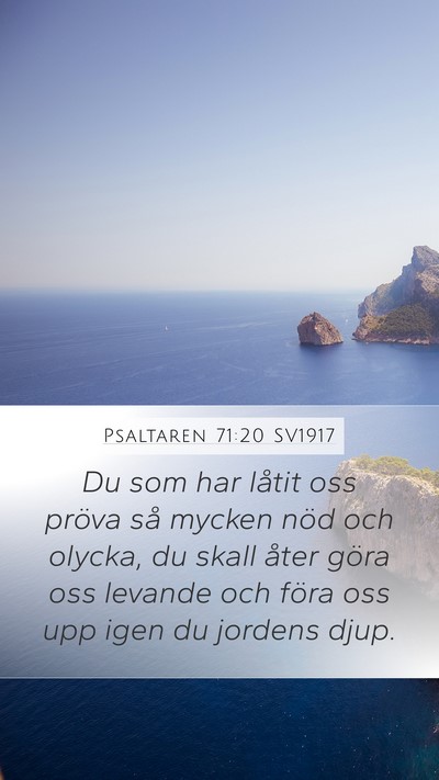 Psaltaren 71:20 SV1917 Bible Verse Image