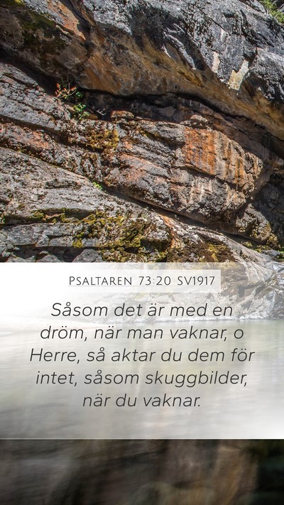 Psaltaren 73:20 SV1917 Bible Verse Image