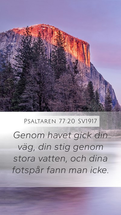 Psaltaren 77:20 SV1917 Bible Verse Image